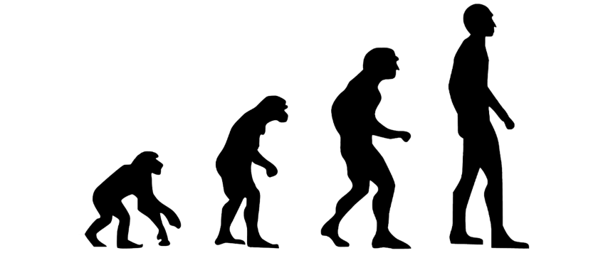 human evolution - from monkey to homo sapiens