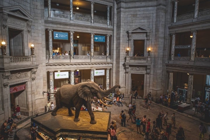 big hall with several floors and a big elephant model in center