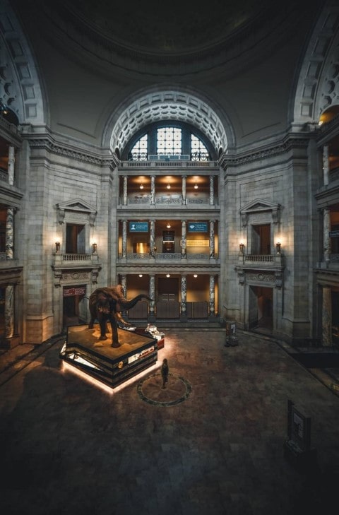 one of the big exhibition halls at night