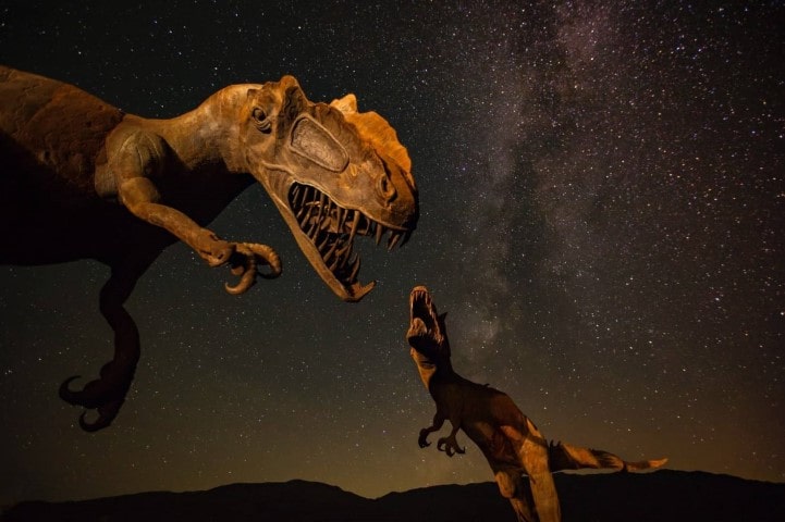 image of two dinosaurs by night